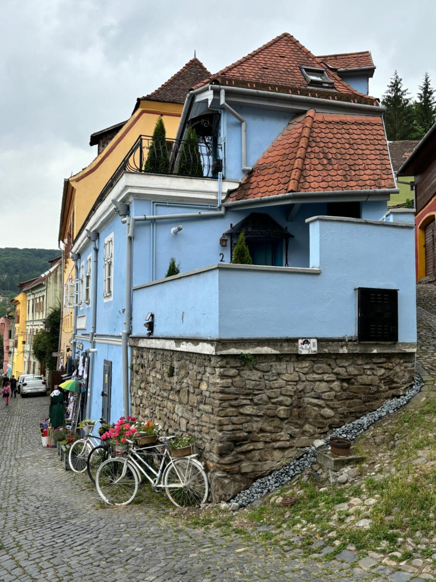 Blue House Citadel Elite Sighisoara Apartment ภายนอก รูปภาพ