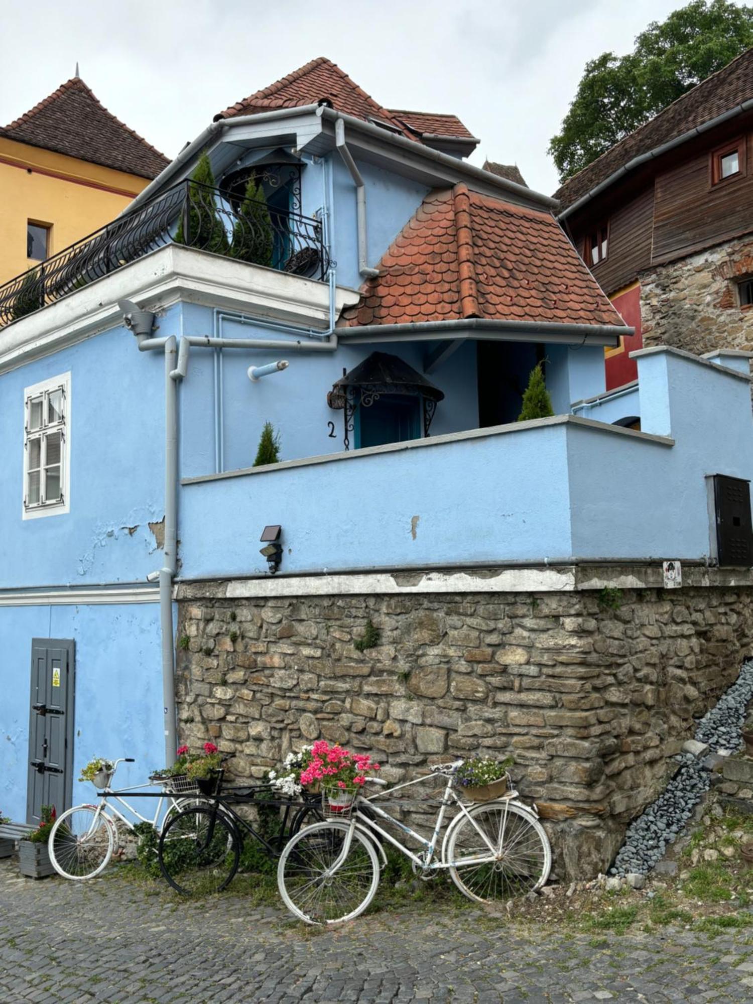 Blue House Citadel Elite Sighisoara Apartment ภายนอก รูปภาพ