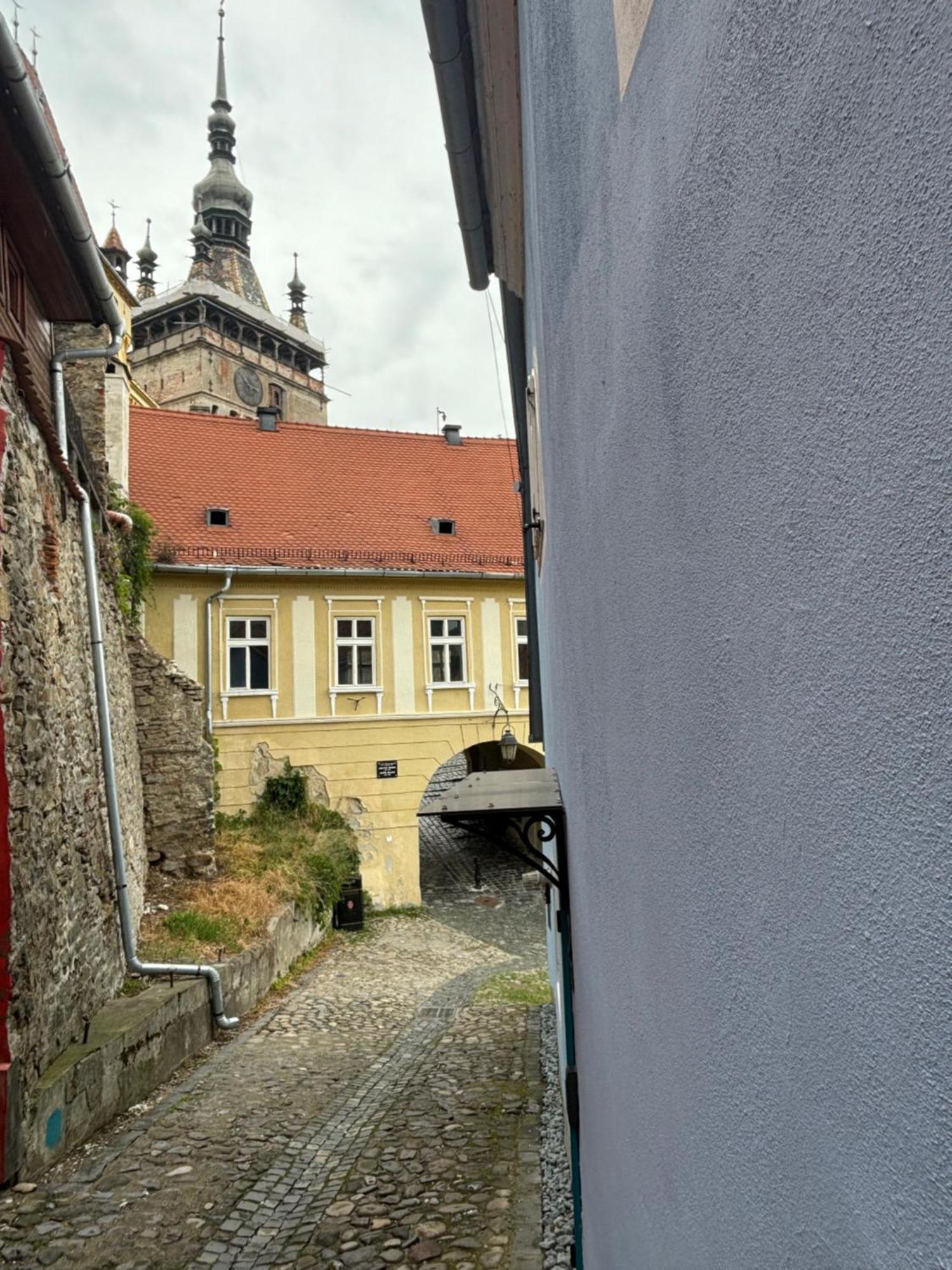 Blue House Citadel Elite Sighisoara Apartment ภายนอก รูปภาพ